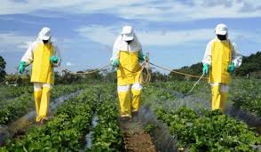 Estudio del Mercado Argentino de Agroquímicos  