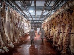 Estudio del mercado argentino de frigoríficos de carne