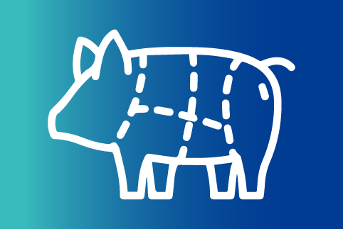 Estudio del mercado argentino de carnes porcinas