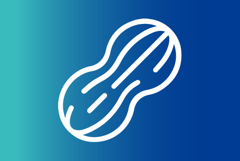  Imagen no encontrada