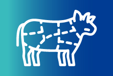  Imagen no encontrada